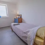 In 42264 *